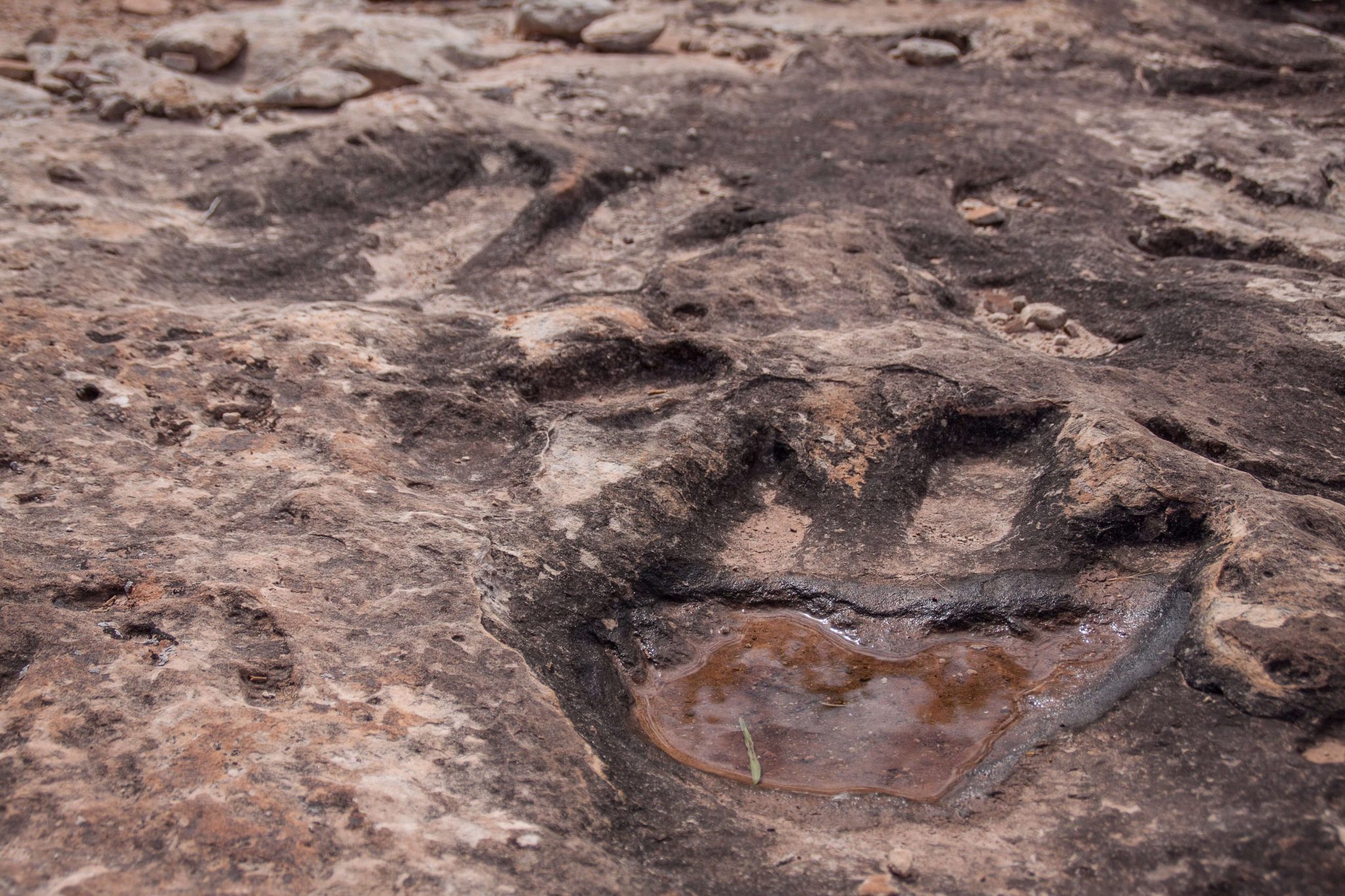 jurrassic-dinosaur-tracks-utah